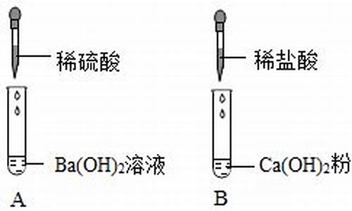 植物油加汽油是什么溶液_植物油加汽油是溶液吗